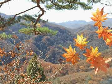 德宏城南医院有没有打胎药（城南医院有哪些科室）